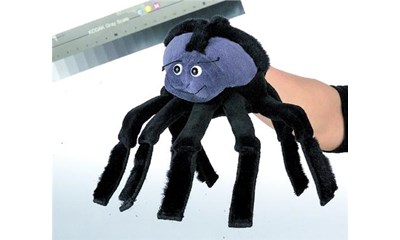 Handschuhpuppe Spinne