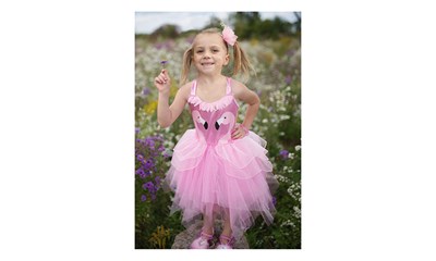 Flamingo Kleid, 5-6 Jahre Kleid 76-86 cm lang, rosa Tüll, Haarreif