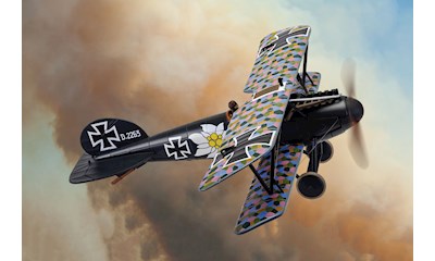 Albatros D.V 2263/17 Otto Kissemberth, 1917