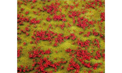 PREM Landschafts-Segment, Blumenwiese