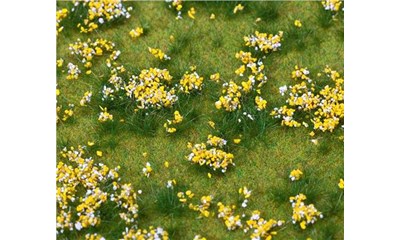 Blumenwiese bunt