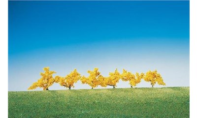 6 Forsythien