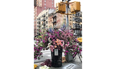 Flowers in New York