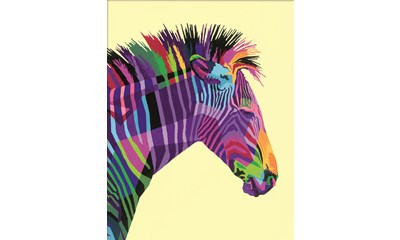 Funky Zebra               D/F/I/NL/EN/E