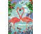 Flamingo Love             D/F/I/NL/EN/E