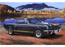 Shelby Mustang "GT 350 H" Model-Set